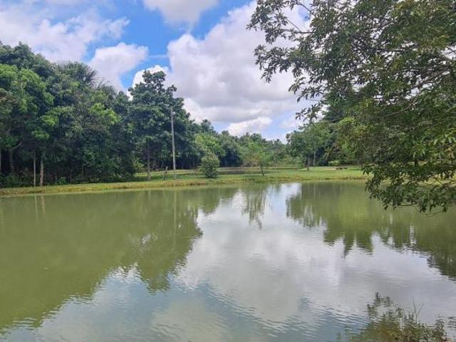 Sítio e chácara venda em Região Geográfica Imediata de Campo Grande, Campo Grande