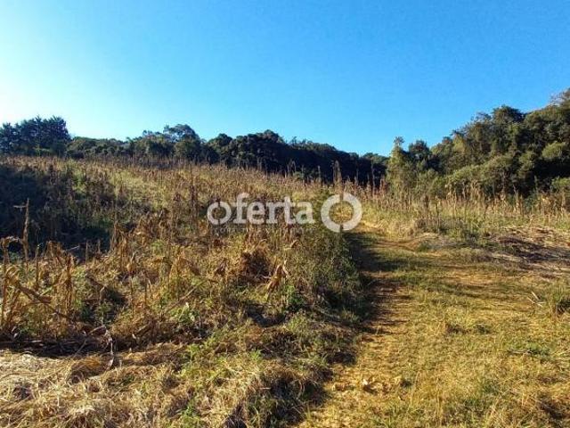 Sítio e chácara venda em Região Geográfica Imediata de Curitiba, Região Metropolitana de Curitiba