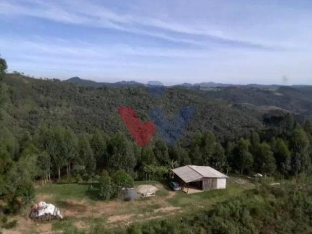 Sítio e chácara venda em Região Geográfica Imediata de Curitiba, Região Metropolitana de Curitiba