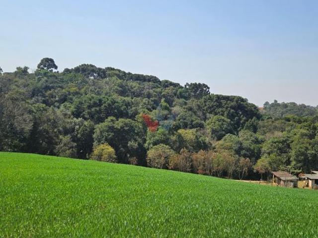 Sítio e chácara venda em Região Geográfica Imediata de Curitiba, Região Metropolitana de Curitiba