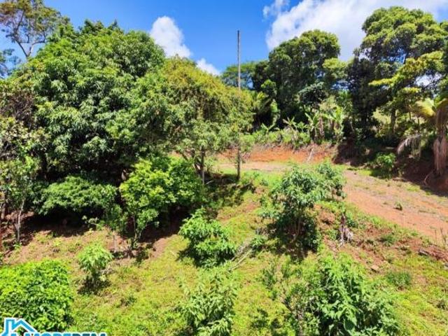 Sítio e chácara venda em Região Geográfica Imediata de Caratinga, Caratinga