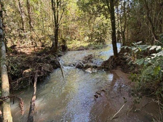 Sitio venda em Caxias do Sul, Madureira