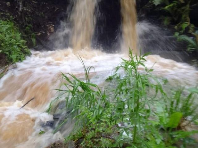 Sítio e chácara venda em Região Geográfica Imediata de Curitiba, Região Metropolitana de Curitiba