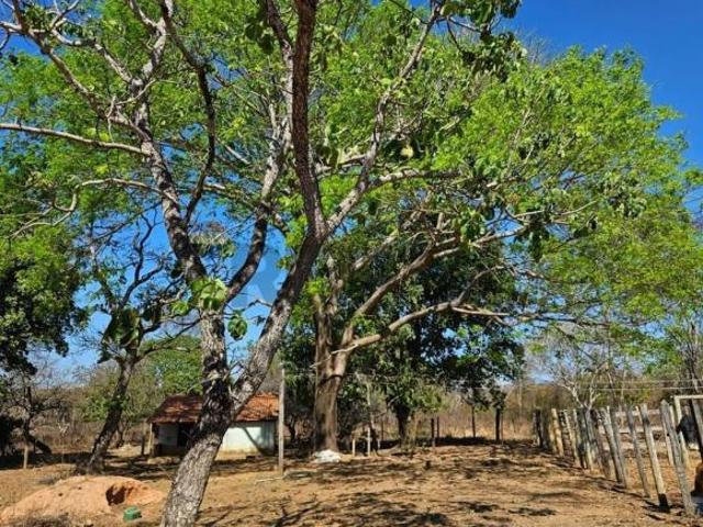 Sítio e chácara venda em Vila Lucídia, Buritizeiro