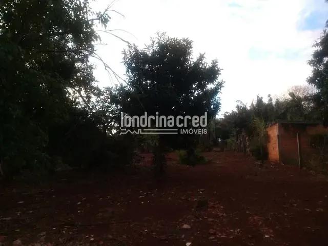 Sítio e chácara venda em Região Geográfica Imediata de Londrina, Cambé