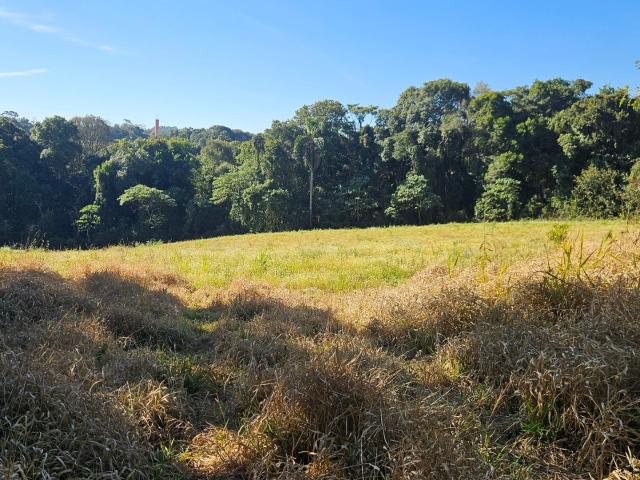 Sítio e chácara venda em Região Geográfica Imediata de Curitiba, Região Metropolitana de Curitiba
