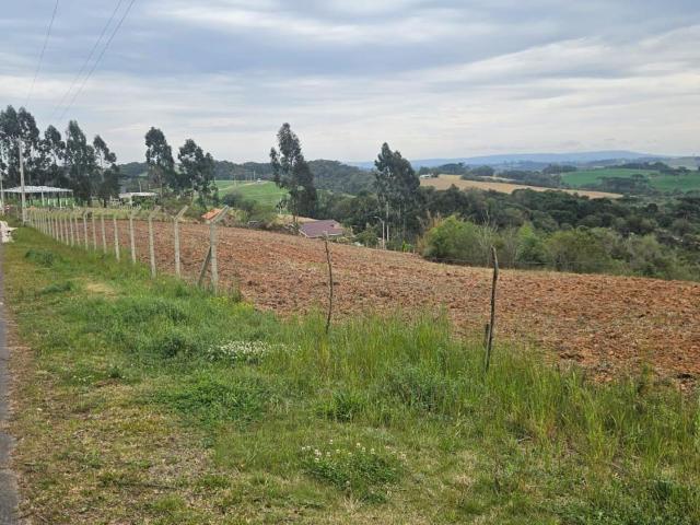 Sítio e chácara venda em Região Geográfica Imediata de Curitiba, Região Metropolitana de Curitiba