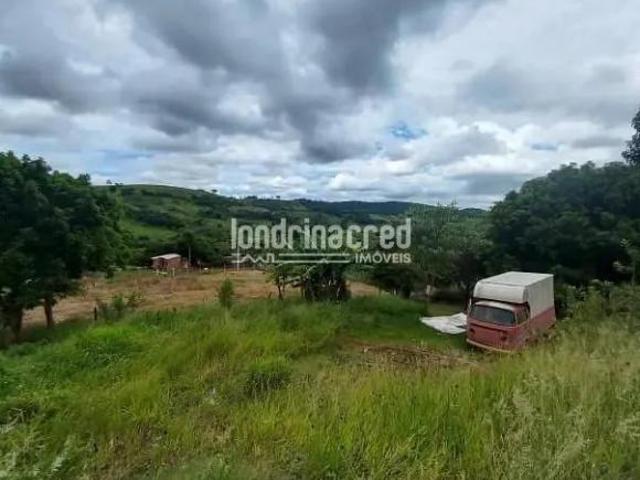 Sítio e chácara venda em Região Geográfica Imediata de Londrina, Londrina