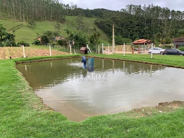 Sítio e chácara venda em Major Gercino, Região Geográfica Intermediária de Blumenau