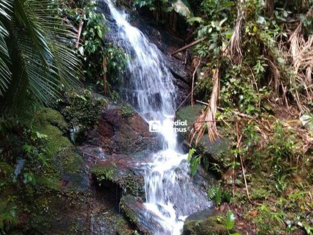 Sítio e chácara venda em Região Geográfica Imediata de Nova Friburgo, Nova Friburgo