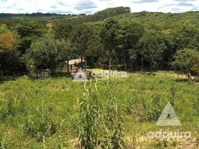 Sítio e chácara venda em Região Geográfica Imediata de Curitiba, Região Metropolitana de Curitiba