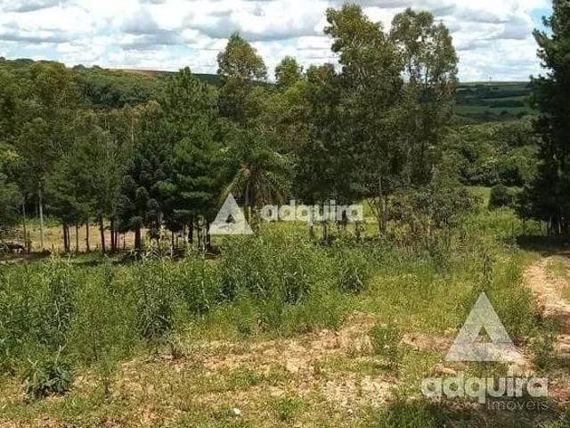 Sítio e chácara venda em Região Geográfica Imediata de Curitiba, Região Metropolitana de Curitiba