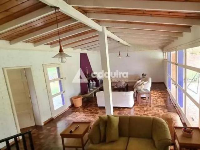 Sítio e chácara venda em Colônia Dona Luiza, Ponta Grossa
