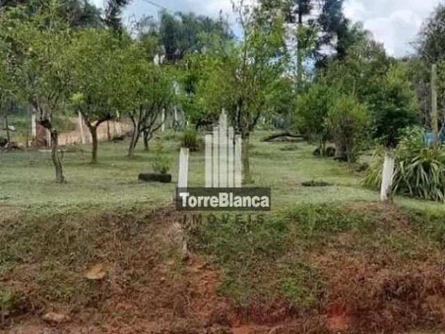 Sítio e chácara venda em Região Geográfica Imediata de Ponta Grossa, Ponta Grossa