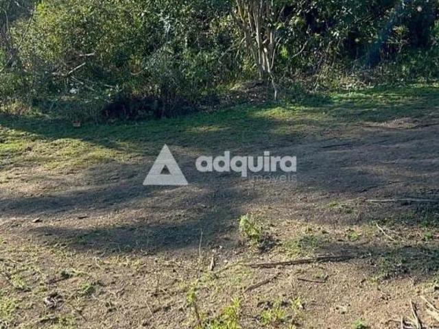 Sítio e chácara venda em Região Geográfica Imediata de Ponta Grossa, Ponta Grossa