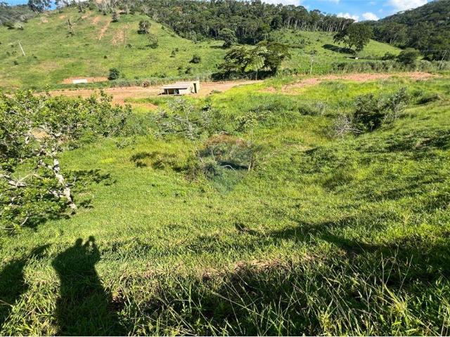 Sitio venda em Sapucaia do Sul