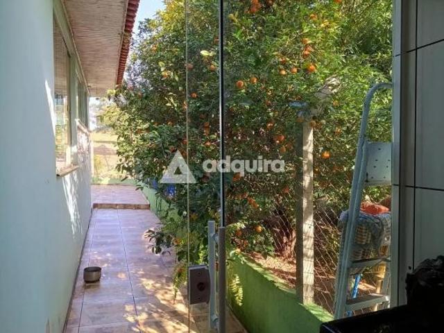 Sítio e chácara venda em Região Geográfica Imediata de Santo Antônio da Platina, Tomazina