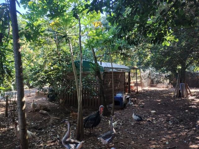 Sítio e chácara venda em Região Imediata de Campinas, Região Metropolitana de Campinas