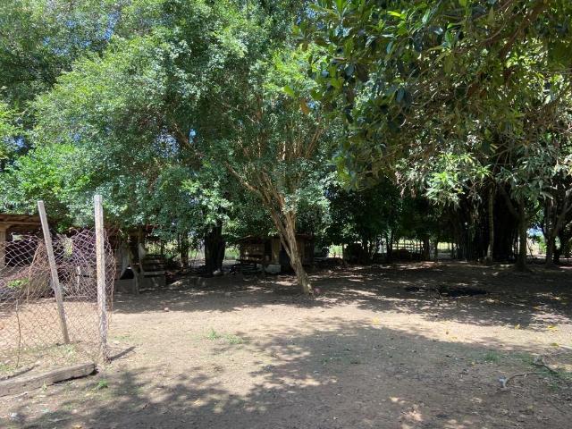 Sítio e chácara venda em Araçatuba