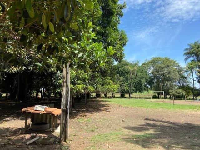 Sítio e chácara venda em Araçatuba