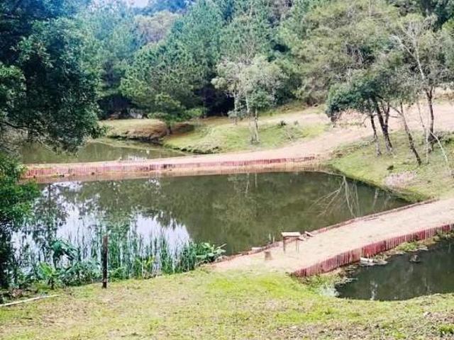 Sítio e chácara venda em Região Geográfica Imediata de Curitiba, Região Metropolitana de Curitiba