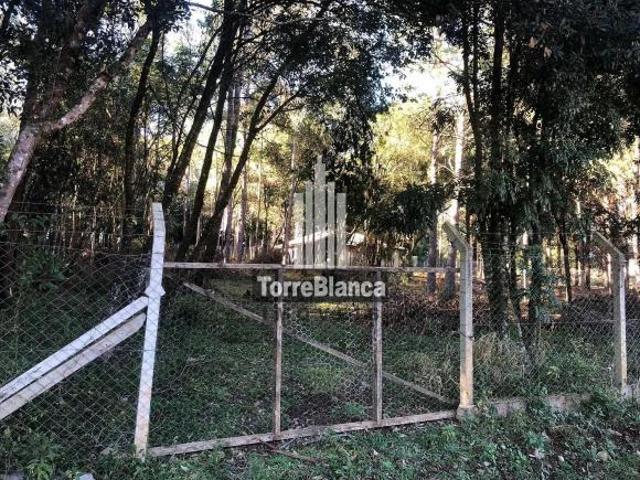 Sítio e chácara venda em Jardim Bela Vista do Paraíso, Ponta Grossa