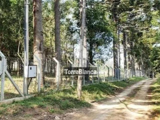 Sítio e chácara venda em Região Geográfica Imediata de Ponta Grossa, Ponta Grossa