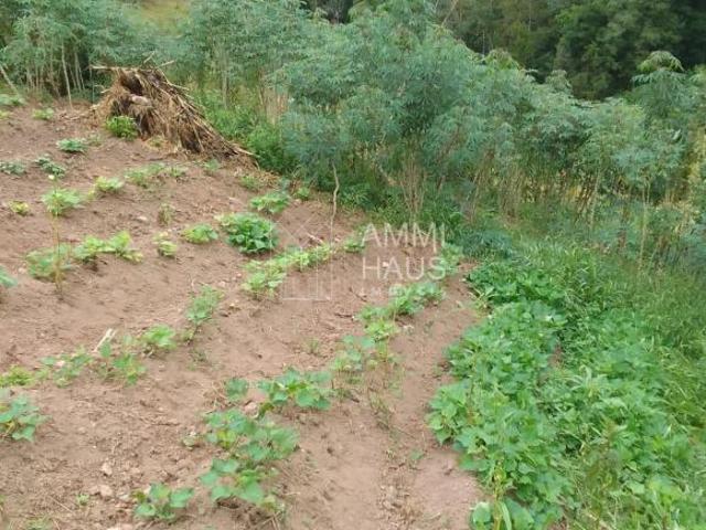 Sítio e chácara venda em Caxias, Região Geográfica Intermediária de Caxias