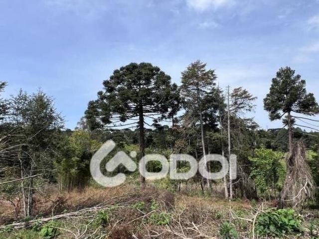 Sítio e chácara venda em Região Geográfica Imediata de Curitiba, Região Metropolitana de Curitiba