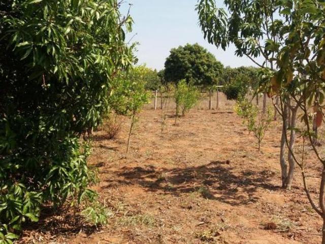 Sítio e chácara venda em Conchas, Região Geográfica Intermediária de Bauru