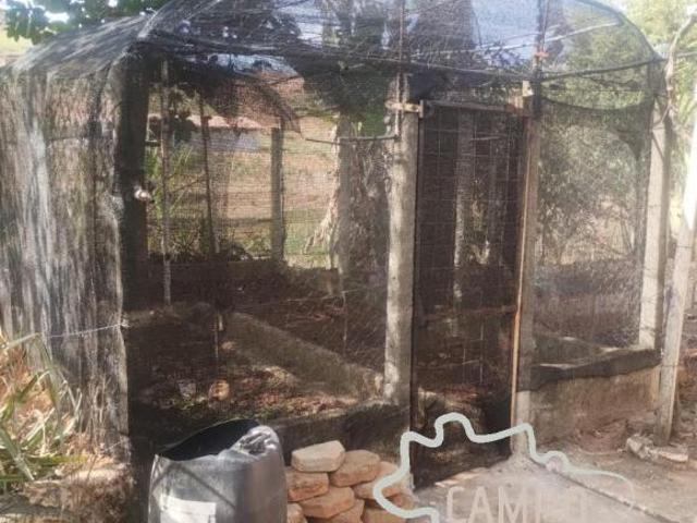 Sítio e chácara venda em Santo Antônio da Boa Vista, Jacareí