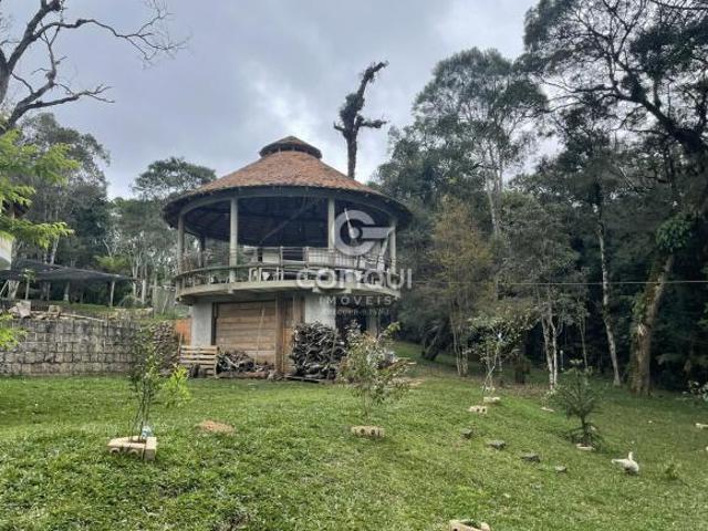 Sítio e chácara venda em Murici, São José dos Pinhais