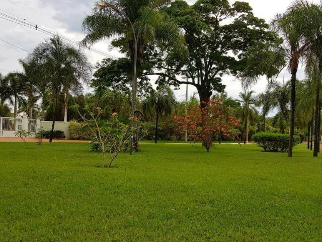 Sítio e chácara venda em Região Imediata de Birigui-Penápolis, Birigui