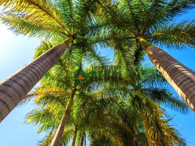 Fazenda venda em Região Geográfica Imediata de Londrina, Ibiporã
