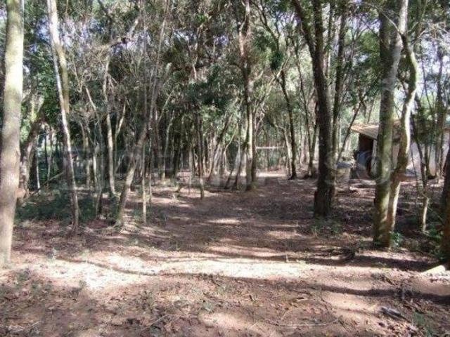 Sítio e chácara venda em Ibiúna, Ibiuna