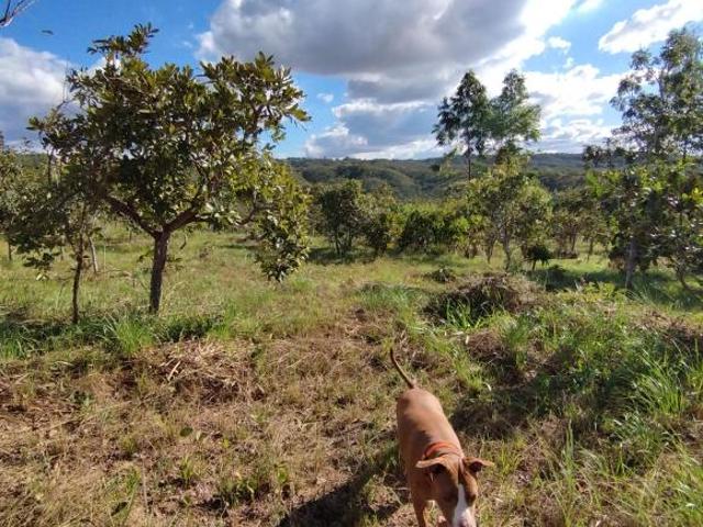 Sítio e chácara venda em Região Geográfica Imediata do Distrito Federal, Região Integrada de Desenvolvimento do Distrito Federal e Entorno