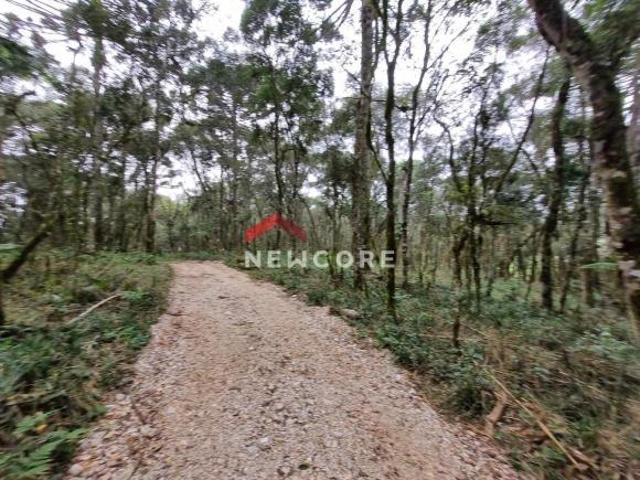 Sítio e chácara venda em Região Geográfica Imediata de Curitiba, Região Metropolitana de Curitiba