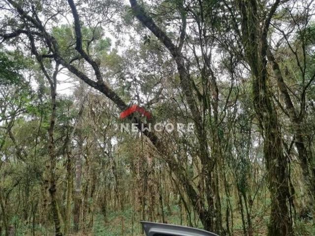 Sítio e chácara venda em Região Geográfica Imediata de Curitiba, Região Metropolitana de Curitiba