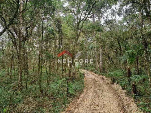 Sítio e chácara venda em Região Geográfica Imediata de Curitiba, Região Metropolitana de Curitiba
