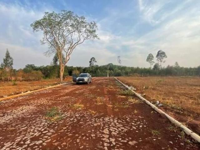 Sítio e chácara venda em Região Geográfica Imediata de Divinópolis, Itaúna