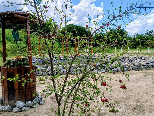 Sítio e chácara venda em Condomínio Lagoinha, Jacareí