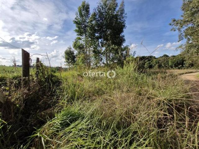 Sítio e chácara venda em Região Geográfica Imediata de Curitiba, Região Metropolitana de Curitiba