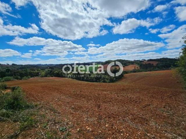 Sítio e chácara venda em Região Geográfica Imediata de Curitiba, Região Metropolitana de Curitiba