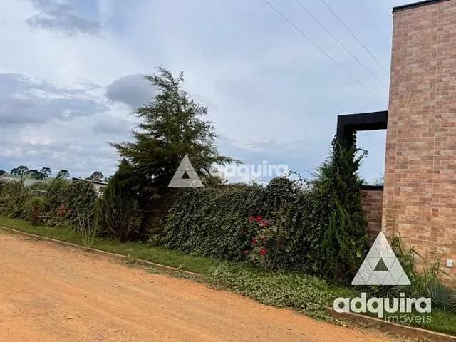 Sítio e chácara venda em Uvaia, Ponta Grossa