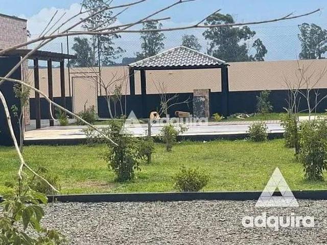 Sítio e chácara venda em Núcleo Habitacional Santa Paula I, Ponta Grossa