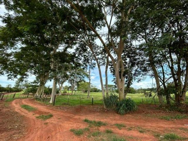 Sítio e chácara venda em Região Imediata de Santa Fé do Sul, Três Fronteiras
