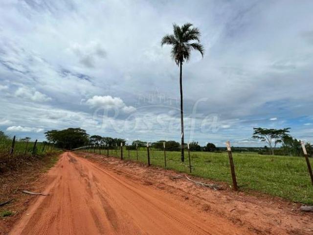 Sítio e chácara venda em Região Imediata de Santa Fé do Sul, Três Fronteiras