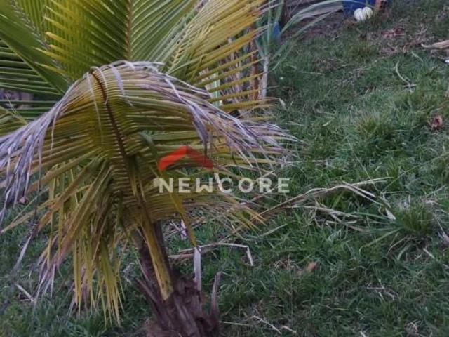 Sítio e chácara venda em Corumbataí
