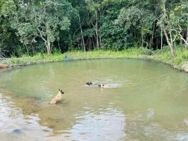 Sítio e chácara venda em Região Geográfica Imediata de Águas Lindas de Goiás, Região Integrada de Desenvolvimento do Distrito Federal e Entorno