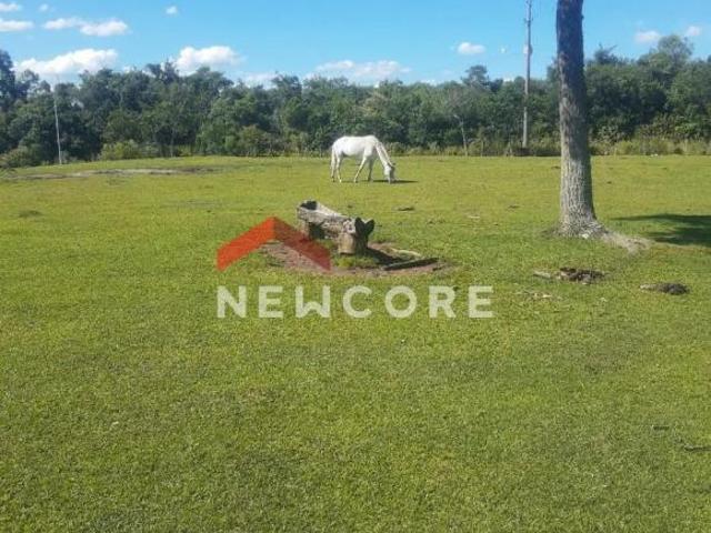 Sítio e chácara venda em Região Geográfica Imediata de Caxias do Sul, Caxias do Sul